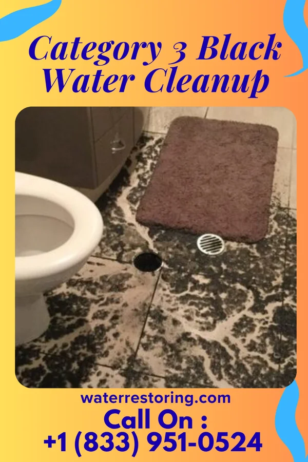 Category 3 Black Water Cleanup in Verdigris, OK